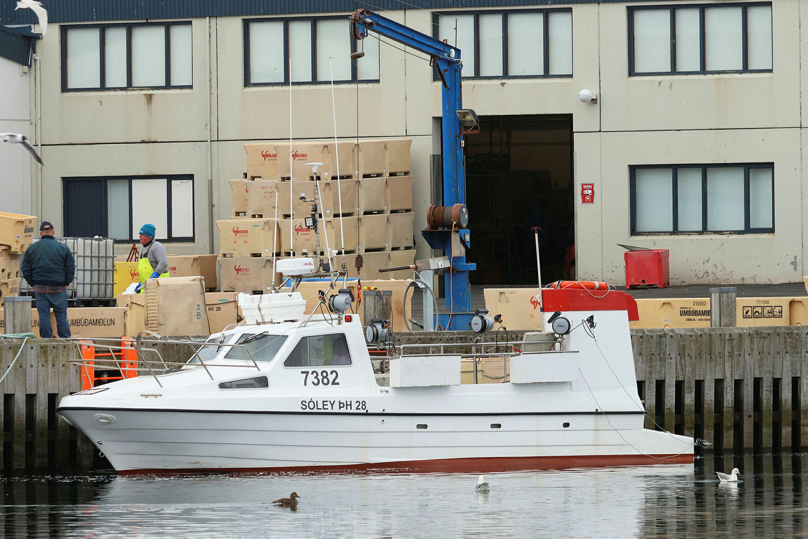 De nombreux bateaux de pêche côtière ont quitté le quai ce matin.