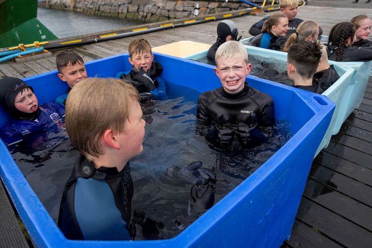 Images : Célébrer la Journée des marins