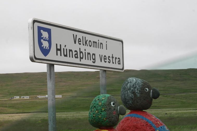 Cultiver de la rhubarbe à l'intérieur dans le nord