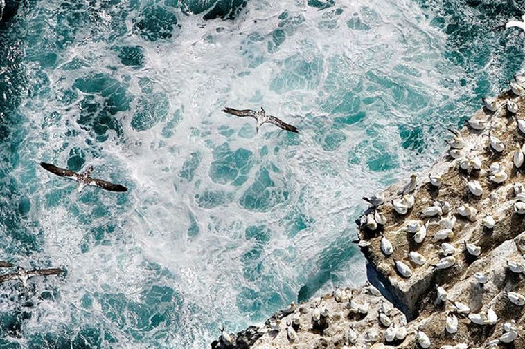Série de tremblements de terre sur la crête de Reykjanes la nuit dernière