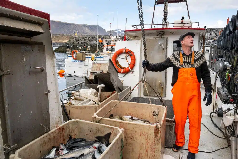 Les pêcheurs côtiers transportent 5 milliards d'ISK