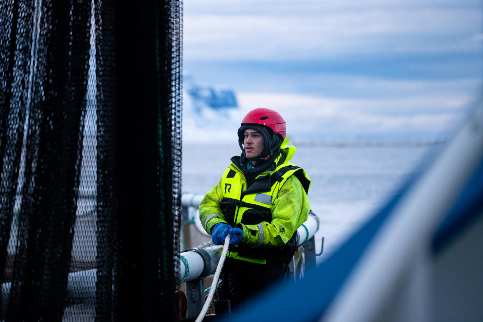La production de poisson arctique a atteint près de 12 000 tonnes …