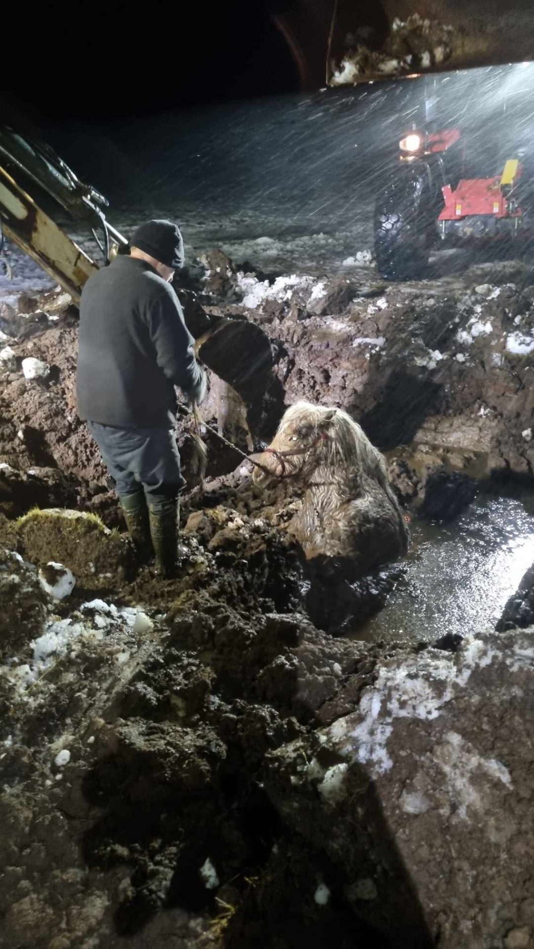 Un cheval sauvé d'une crevasse dans le centre-sud de l'Islande