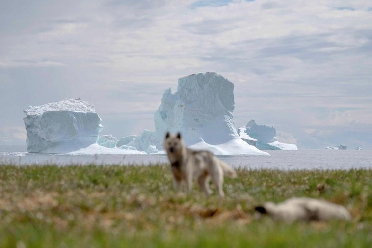 Il voulait le contrôle de l'Islande sur le Groenland