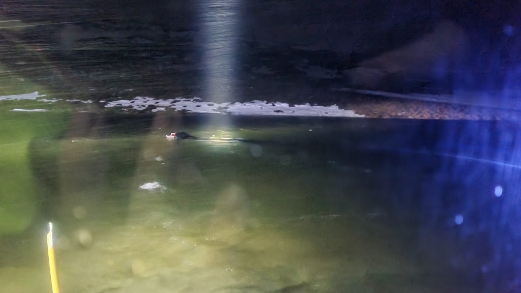 Sauvetage ICE-SAR près de Kattarhryggur