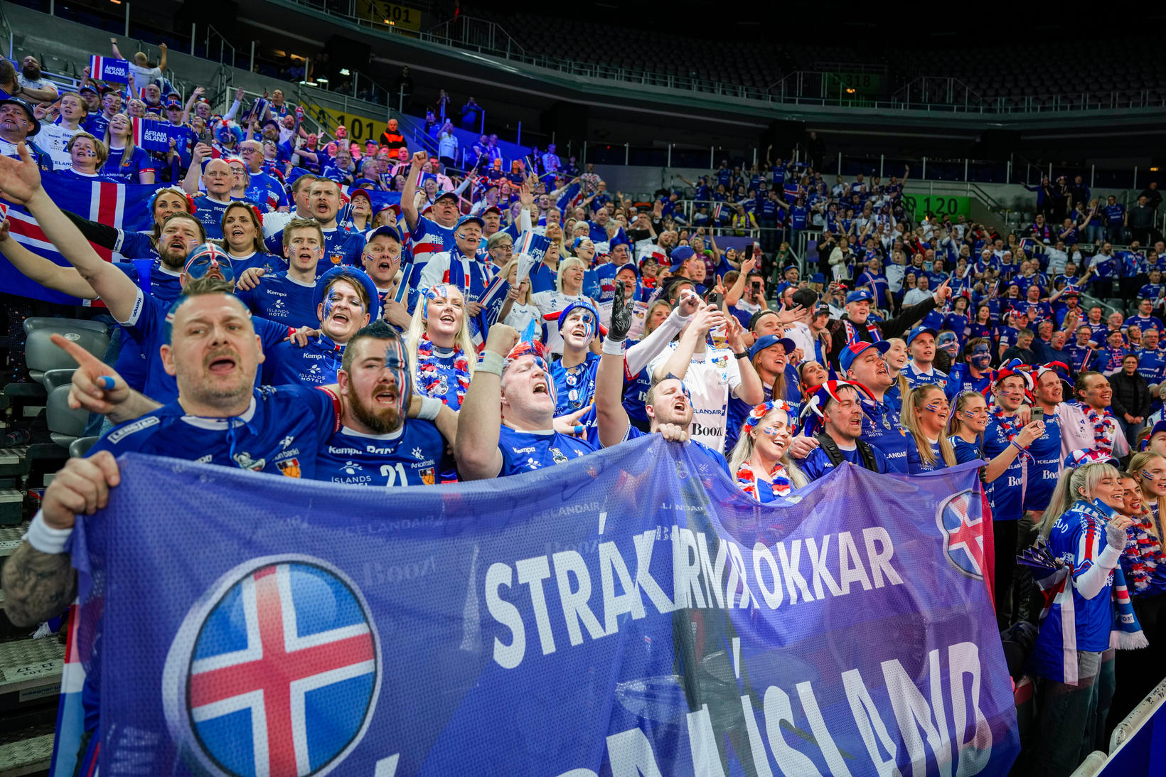"La mer bleue" lors du match Islande-Egypte mercredi.