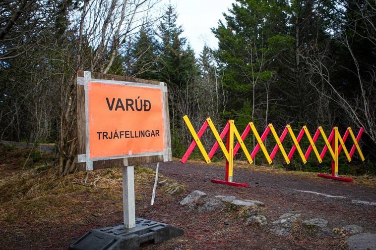 Grande réunion sur l'aéroport de Reykjavik