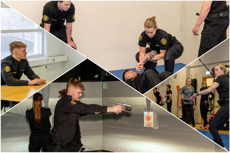 Utilisation de la force, des arrestations et de la formation des armes à feu: un aperçu des études policières