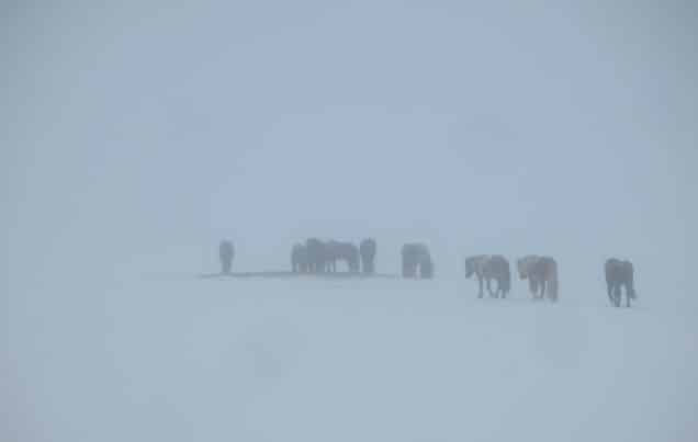 Les équipes de secours sauvent près de 30 personnes du glacier Eyjafjallajökull