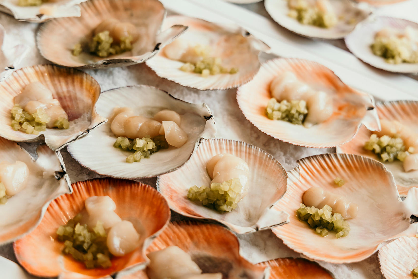 Le délicieux plat de pétoncles était servi avec des pommes, un wasabi islandais,…