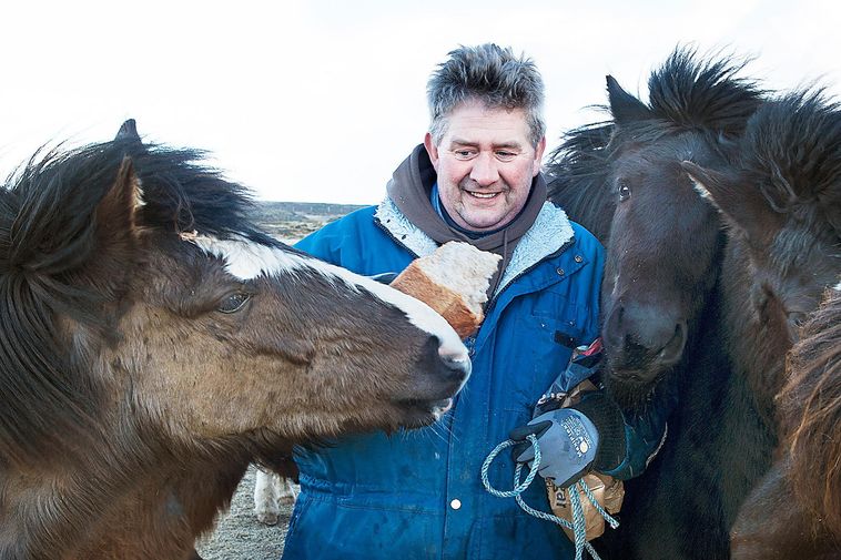 Le résident de Grindavík nie les allégations de menace des armes à feu: «Le pire jour de ma vie»