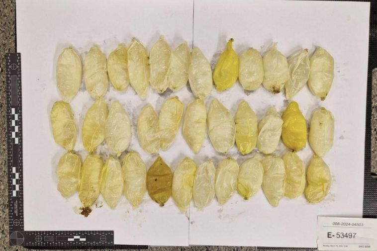 Enregistrer les crises de drogue à l'aéroport de Keflavik