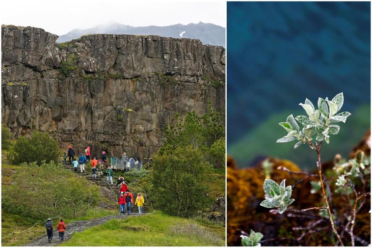 Surge touristique et festivités à þingvellir