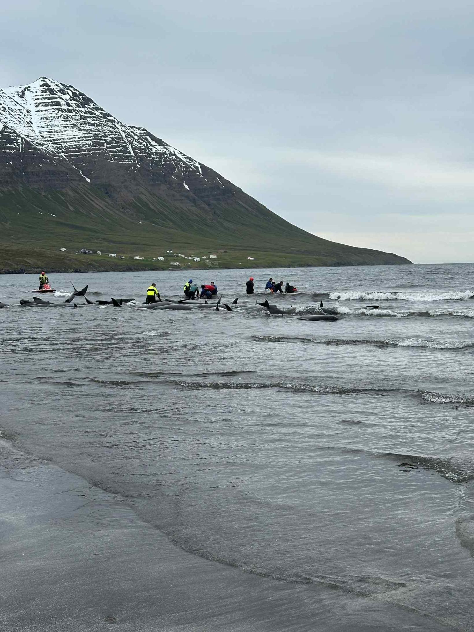 De la scène aujourd'hui.