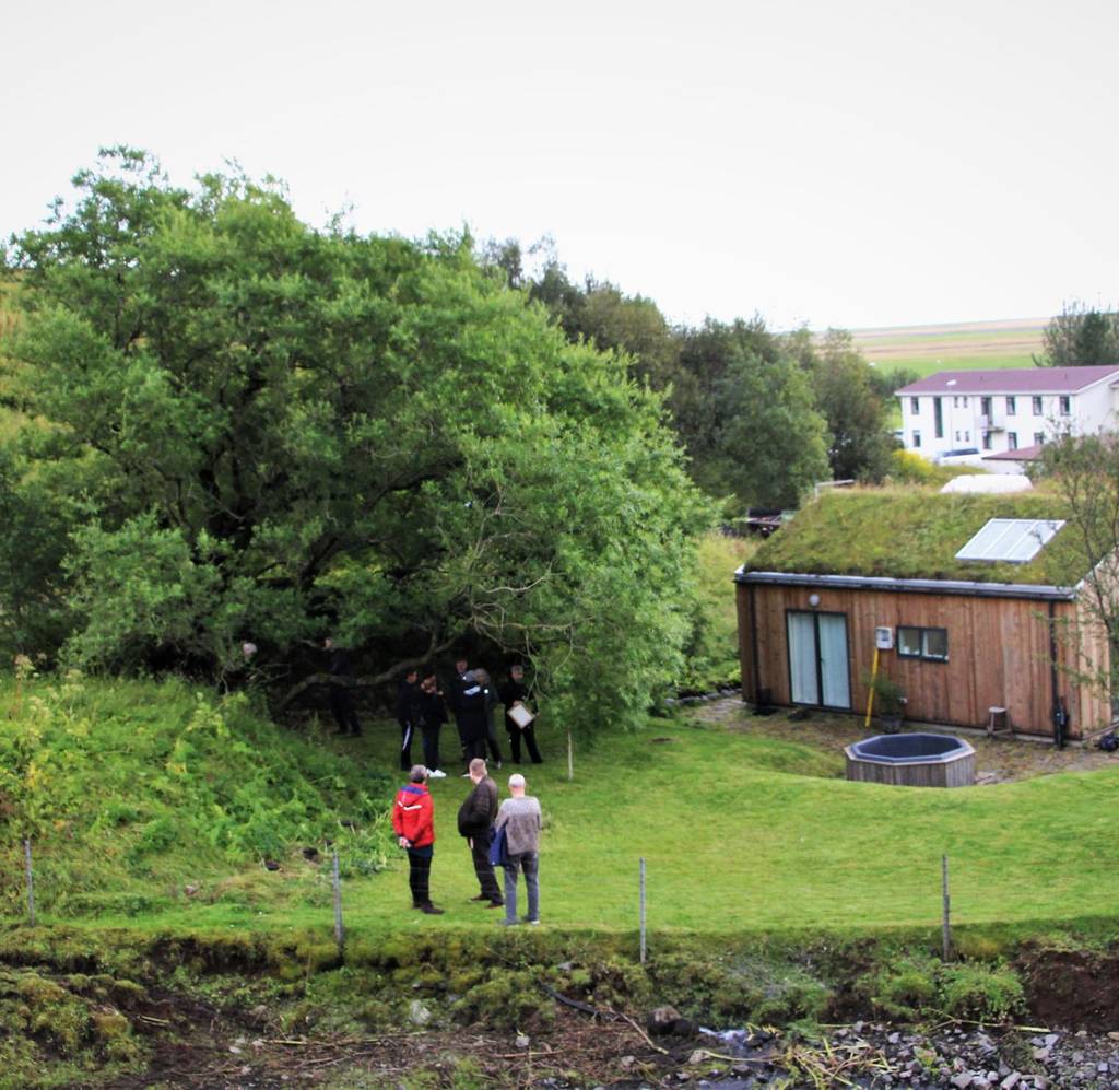 Un magnifique Willow Grove à Skógar, nommé arbre du…