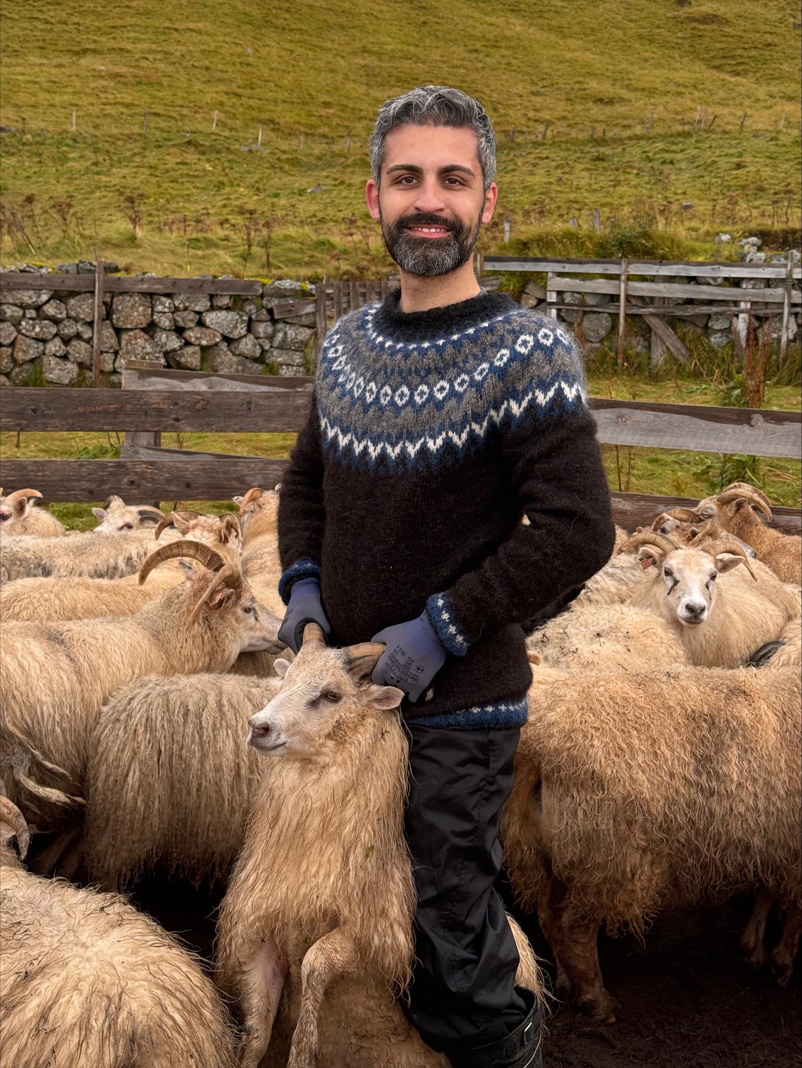 «Chaque étranger sait que ce test islandais n'est qu'un…