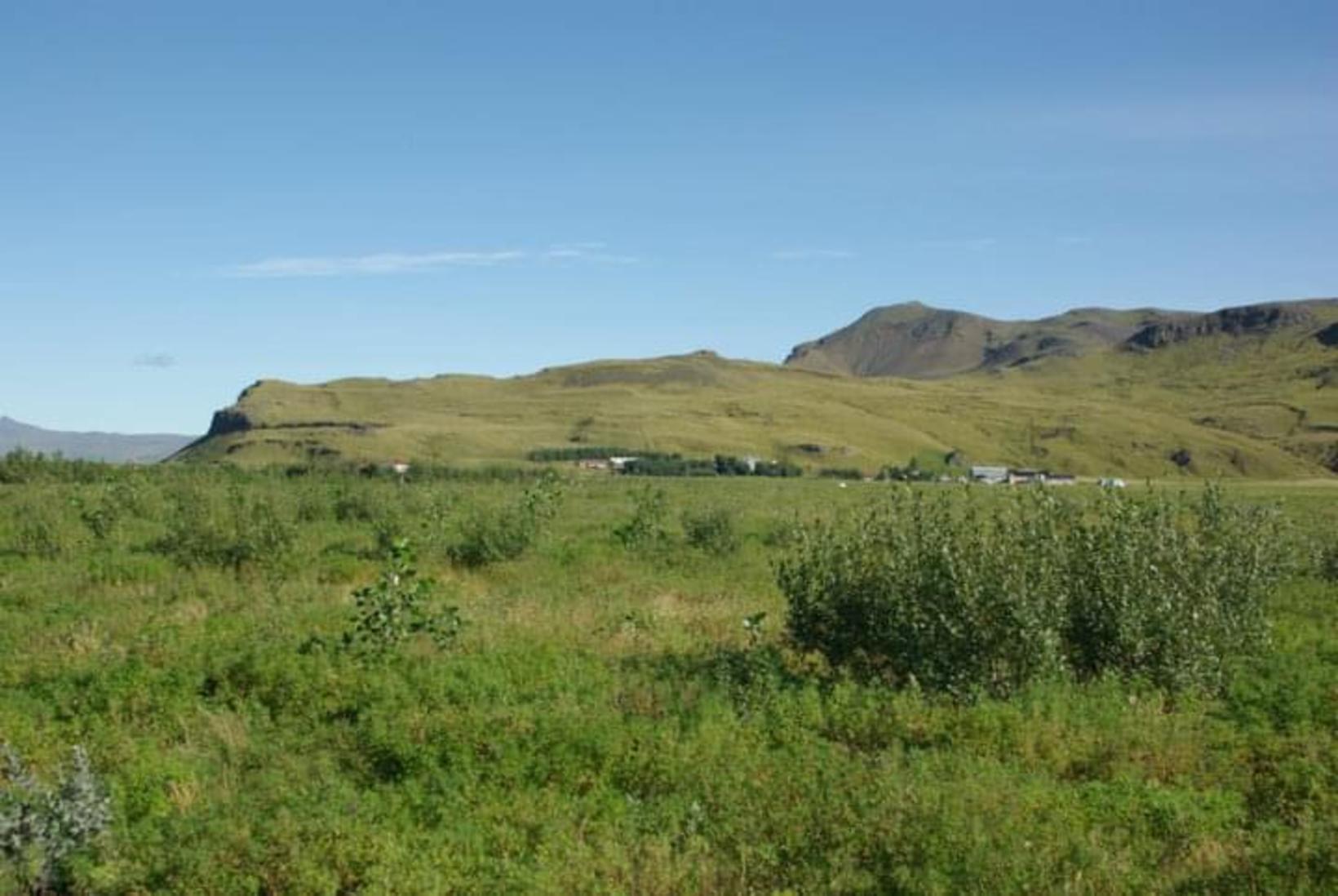 La colline fait face au sud sur la propriété Ytra-Seljalandi. Le propriétaire foncier…