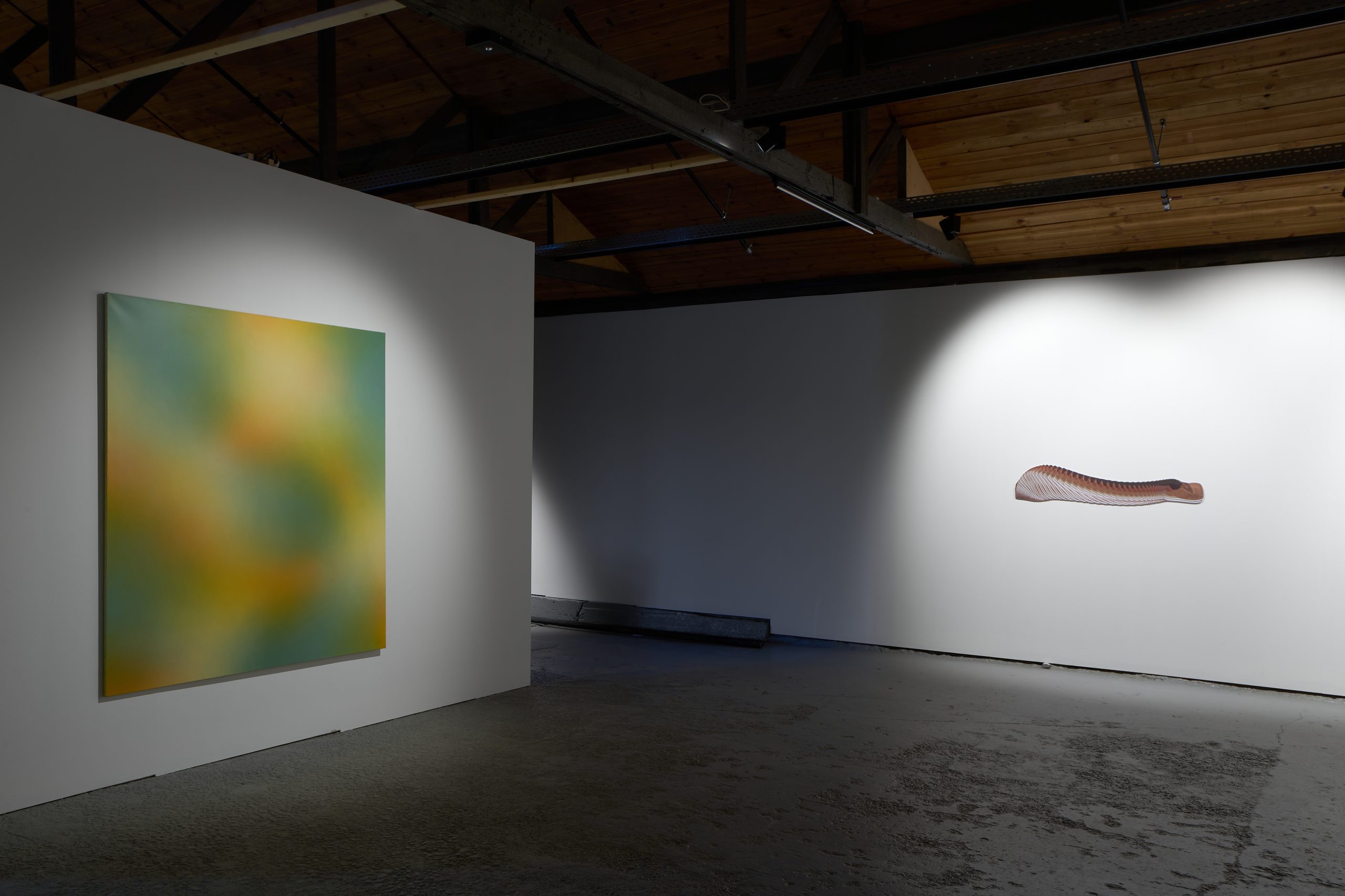 L'exposition de Tumi Magnússon est une méditation sur le mouvement et le changement