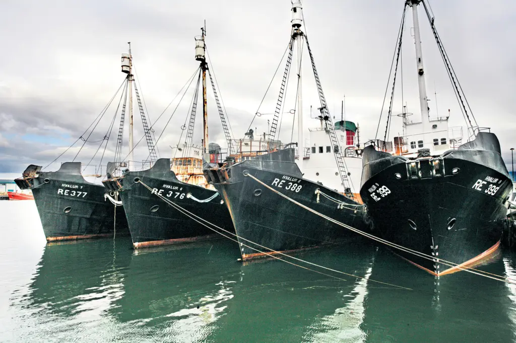 Les fermes ne cultivent pas, les cascades ne chassent pas la baleine – The Reykjavík Grapevine