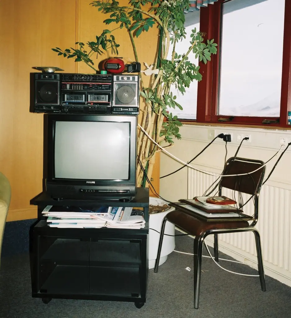 Mot du numéro : Kasta – La vigne de Reykjavík