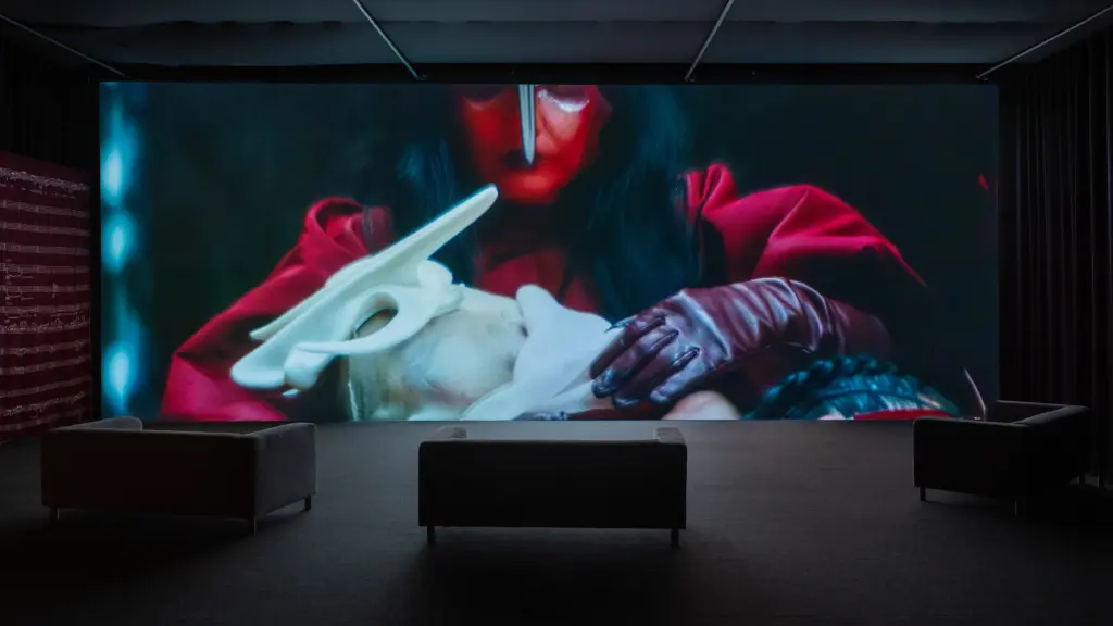 Björk : « Je n’ai aucune ambition d’être un artiste visuel » – The Reykjavík Grapevine