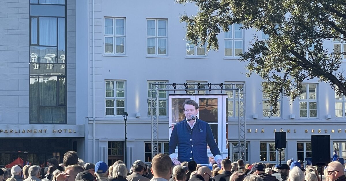 Nous sommes allés à un rassemblement anti-UE et avons obtenu un hot-dog gratuit – The Reykjavík Grapevine