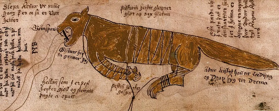 Laissez-les manger des baleines (pilules) – The Reykjavík Grapevine