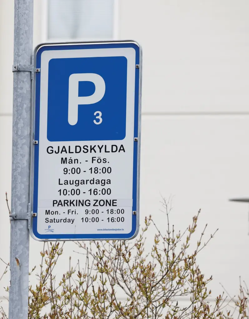 Mot du problème : Gjald – La vigne de Reykjavík