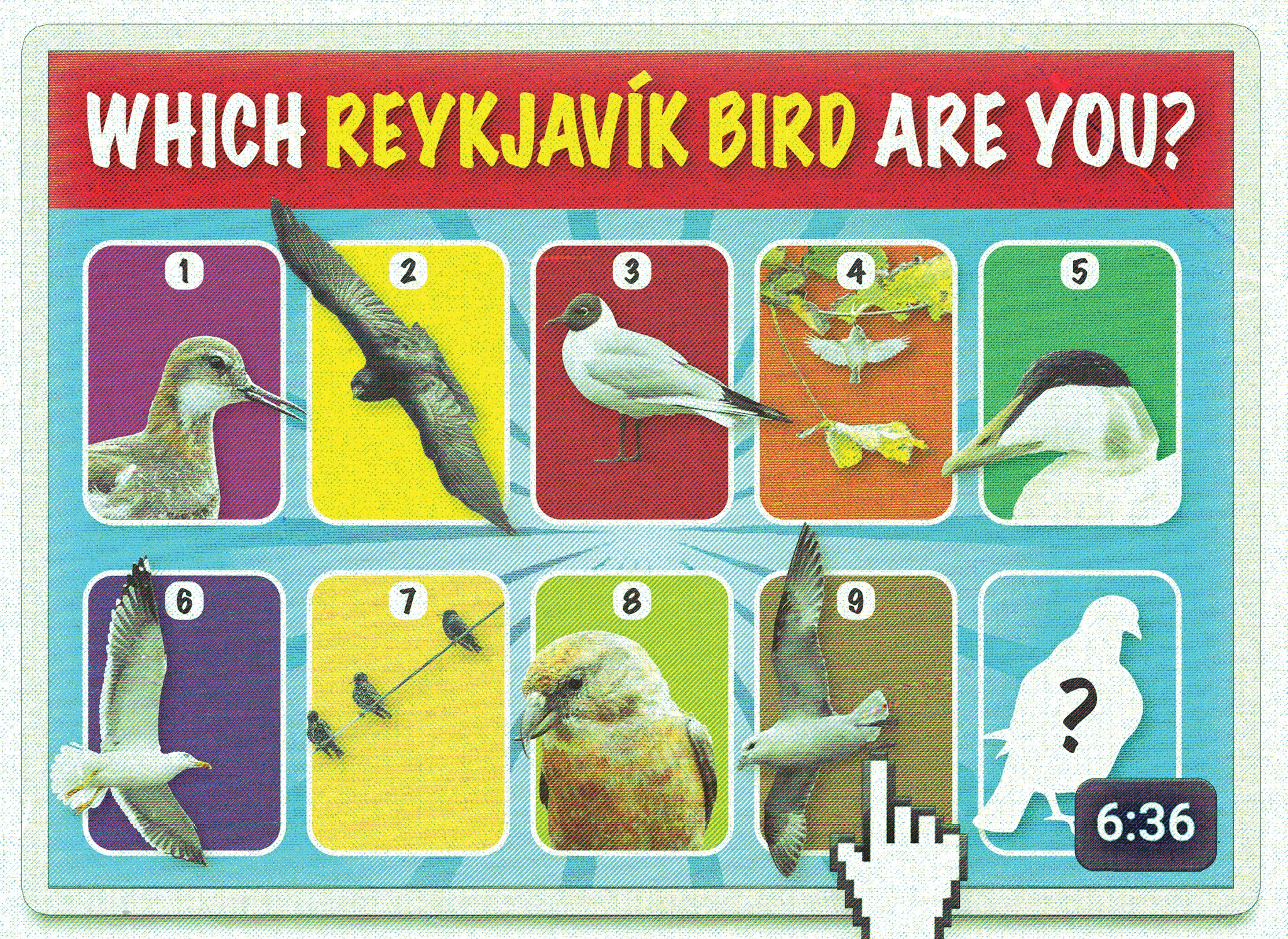 Quel oiseau de Reykjavík êtes-vous ? – La vigne de Reykjavík