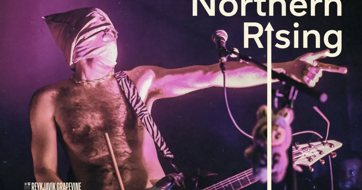 Chaos Of Life avec Drengurinn Fengurinn, musicien basé à Akureyri – The Reykjavík Grapevine